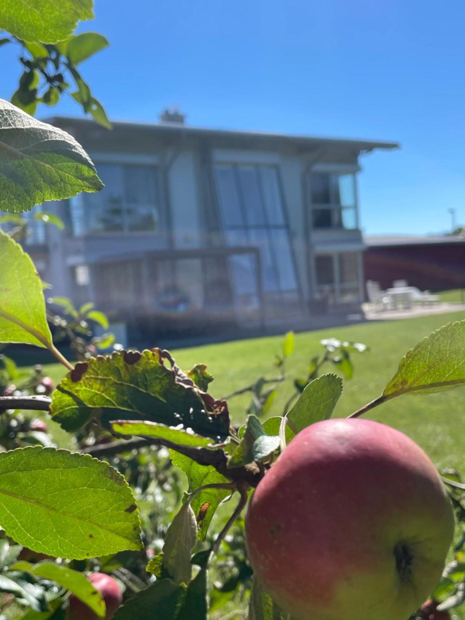 Villa Wanderlux Zella-Mehlis Esterno foto